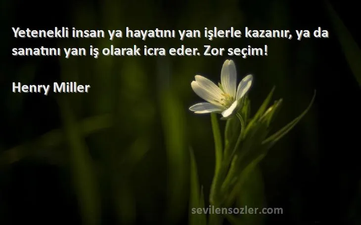 10005 25886 - Henry Miller Sözleri