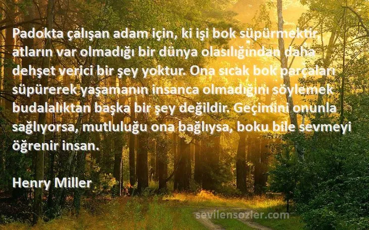 10005 25901 - Henry Miller Sözleri