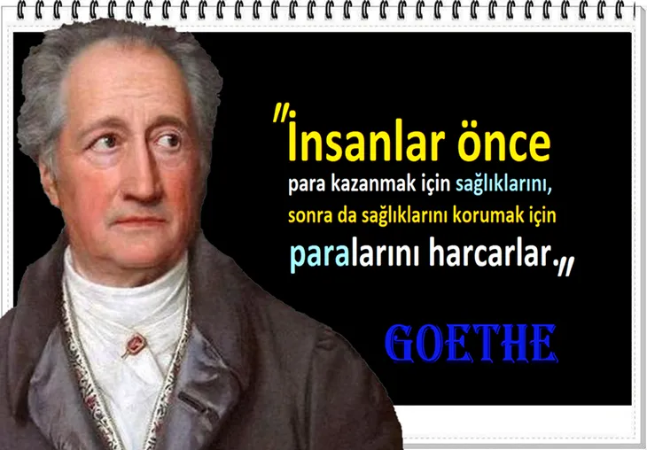 10048 47993 - Goethe Sözleri