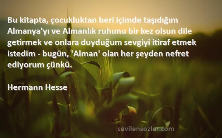 2230 89801 - Hermann Hesse Sözleri
