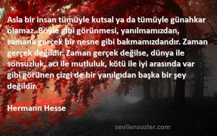 2230 89806 - Hermann Hesse Sözleri