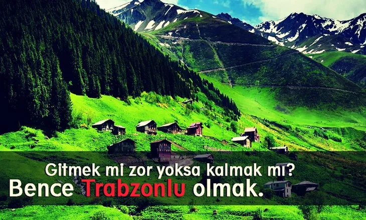 2849 104048 - Trabzonspor Sözleri