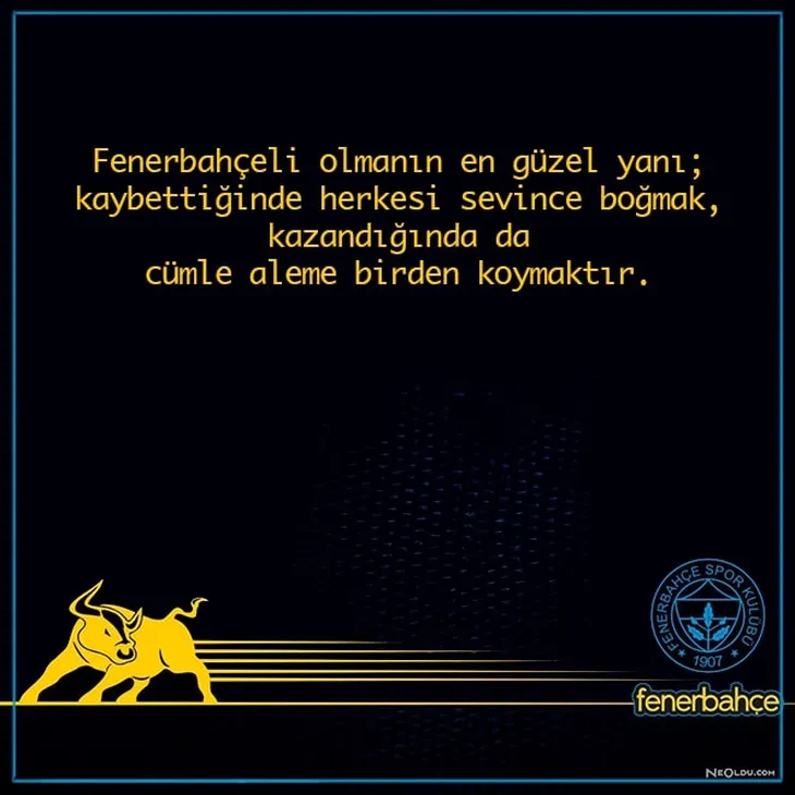 3169 8916 - Fenerbahçe Sözleri