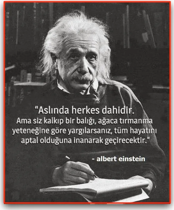 5243 96797 - Albert Einstein Aşk Sözleri