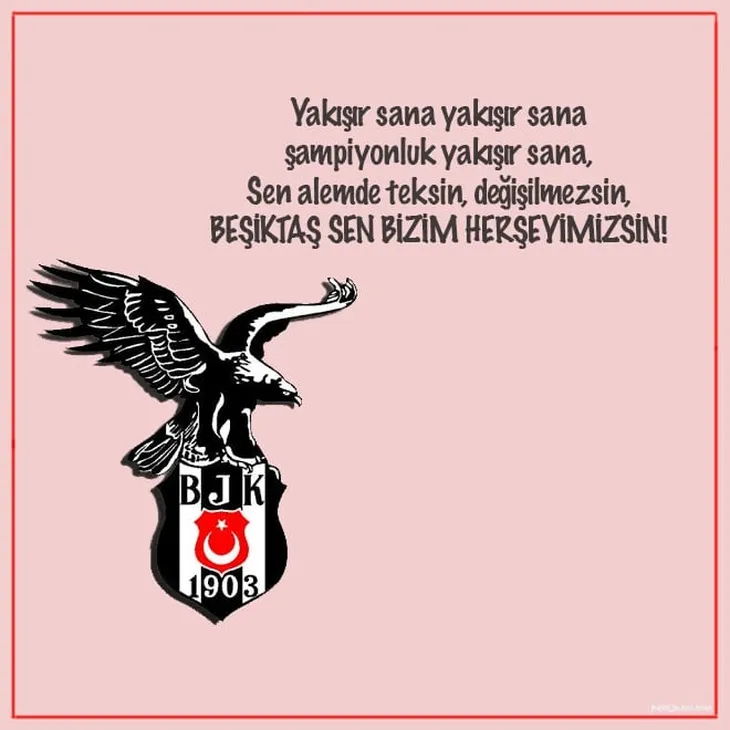 5384 27429 - Beşiktaş Marşları Sözleri