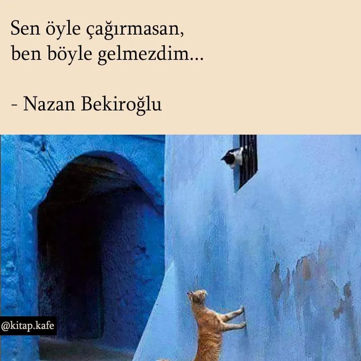 5455 24134 - Nazan Bekiroğlu Sözleri