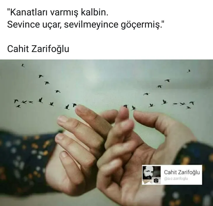 5847 86743 - Cahit Zarifoğlu