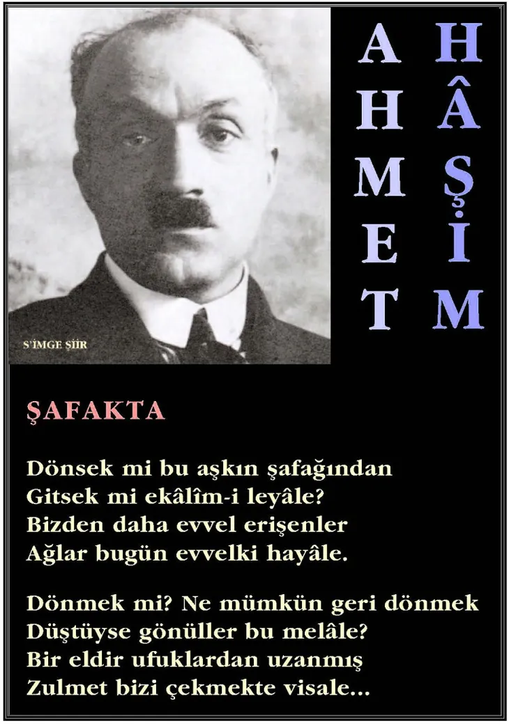 7311 66564 - Ahmet Haşim Sözleri
