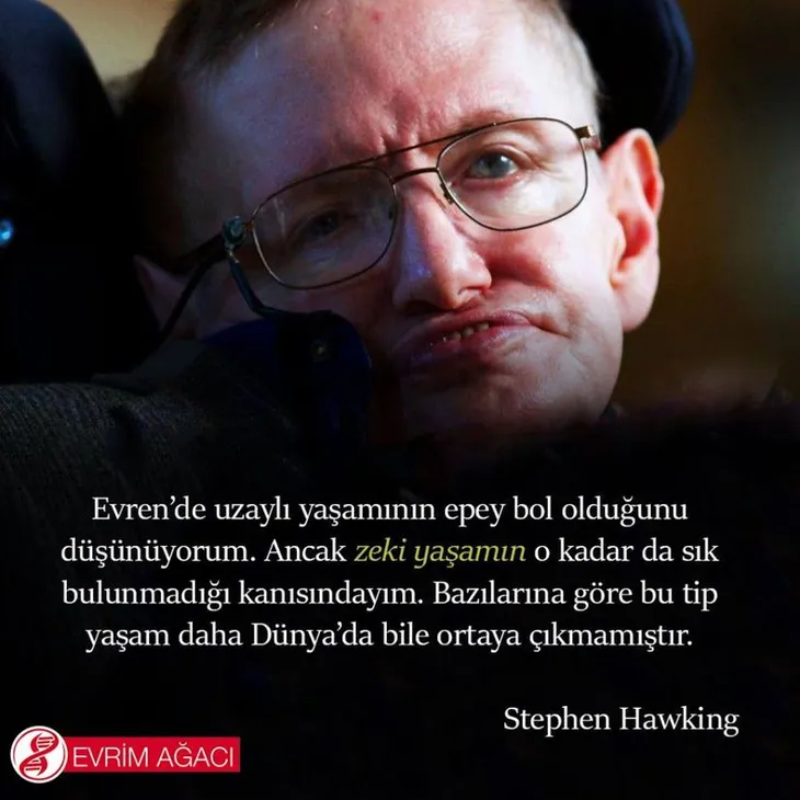7878 58161 - Stephen Hawking Sözleri