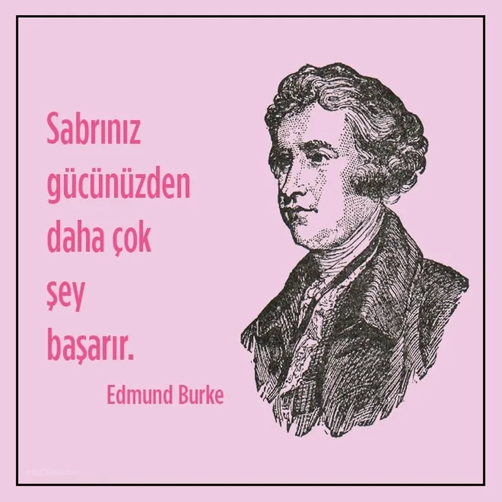 7909 73493 - Edmund Burke Sözleri