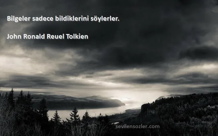 8985 81429 - Tolkien Sözleri