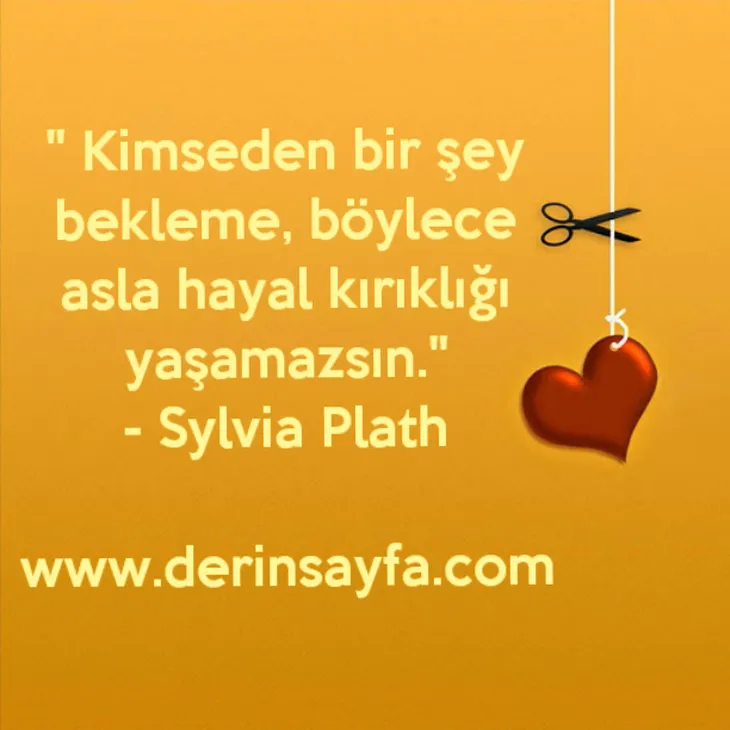 9488 98530 - Sylvia Plath Sözleri