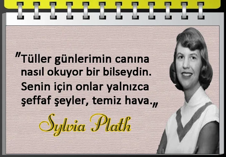 9488 98533 - Sylvia Plath Sözleri
