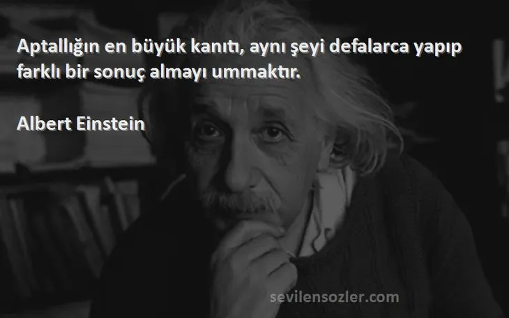 9772 19118 - Albert Einstein Ingilizce Sözleri