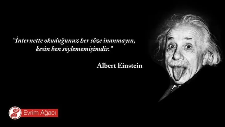 9772 19121 - Albert Einstein Ingilizce Sözleri