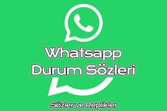 5e42a7d6df791 345x230 - Güzel Durum