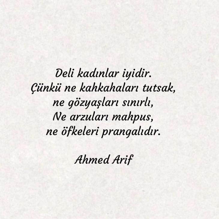 5e42a89161ae8 - Ahmet Arif Sözleri