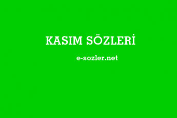 5e42b025d73e0 345x230 - Odun Sevgiliye Sözler